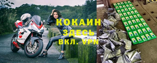бошки Няндома
