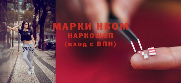 хмурый Осинники