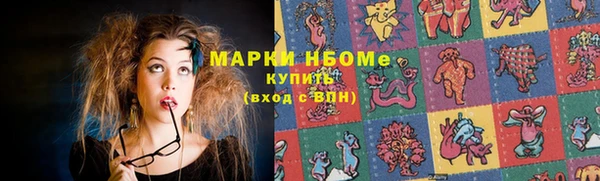 бошки Няндома
