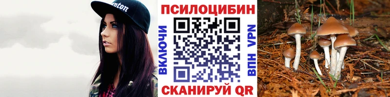Псилоцибиновые грибы Cubensis  Ак-Довурак 